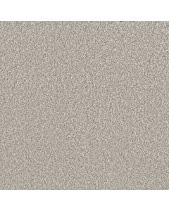 Dreamweaver Lucky Penny III Kenbrook Carpet - DW-4067-4765
