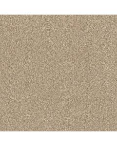 Dreamweaver Lucky Penny III Pine Cone Carpet - DW-4067-4878