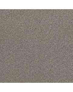 Dreamweaver Lucky Penny III Ventura Carpet - DW-4067-5331
