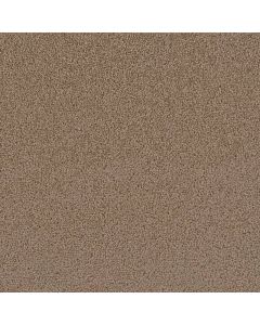 Dreamweaver First Step Sable Carpet - DW-4160-510
