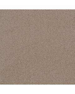 Dreamweaver First Step Doeskin Carpet - DW-4160-530