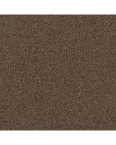 Dreamweaver First Step Barnwood Carpet - DW-4160-550