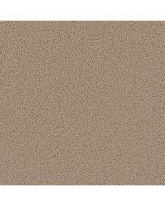 Dreamweaver First Step Satinwood Carpet - DW-4160-555