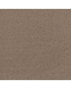 Dreamweaver First Step Balsam Carpet - DW-4160-565