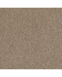 Dreamweaver First Step Biscotti Carpet - DW-4160-642