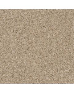 Dreamweaver First Step Sawgrass Carpet - DW-4160-701