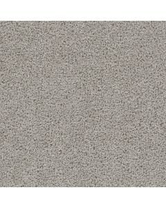 Dreamweaver First Step Dove Carpet - DW-4160-800