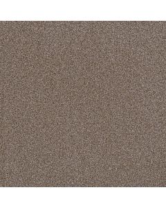 Dreamweaver First Step Silvery Carpet - DW-4160-829