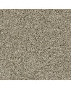 Dreamweaver Yellowstone Rhinestone Carpet - DW-4330-116