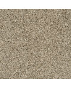 Dreamweaver Yellowstone Outback Carpet - DW-4330-298