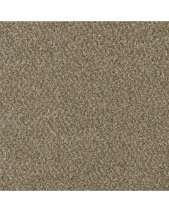 Dreamweaver Yellowstone Sienna Sand Carpet - DW-4330-680