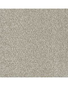 Dreamweaver Yellowstone Winterbrooke Carpet - DW-4330-898