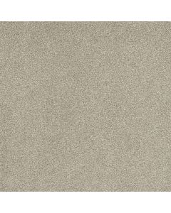 Dreamweaver Rock Solid II Cream Carpet - DW-4355-580