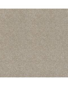 Dreamweaver Rock Solid II Beach Sand Carpet - DW-4355-719