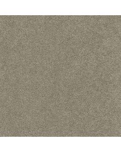Dreamweaver Rock Solid II Warm Teak Carpet - DW-4355-784