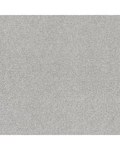 Dreamweaver Rock Solid II Morning Dove Carpet - DW-4355-813