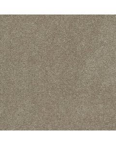 Dreamweaver Rock Solid III Buff Carpet - DW-4365-720
