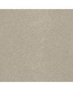 Dreamweaver Rock Solid III Ivory Carpet - DW-4365-730