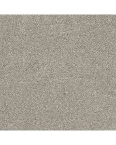Dreamweaver Rock Solid III Parchment Carpet - DW-4365-744