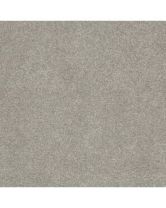 Dreamweaver Rock Solid III Silver Lining Carpet - DW-4365-830