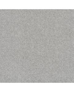 Dreamweaver Rock Solid III Icicle Carpet - DW-4365-910
