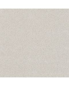 Dreamweaver Rock Solid III Snowbird Carpet - DW-4365-944