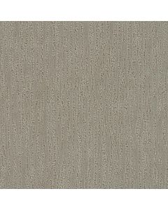 Dreamweaver Darlington Neutral Carpet - DW-4428-2352