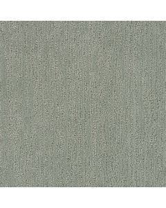 Dreamweaver Darlington Kiwi Cove Carpet - DW-4428-4662