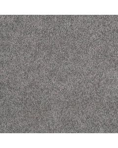 Dreamweaver Rustic Retreat I Blueberry Field Carpet - DW-4440-4125