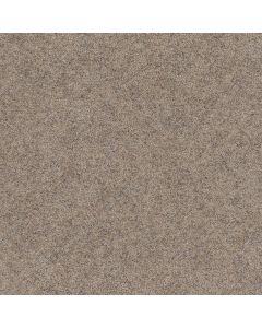 Dreamweaver Rustic Retreat I Barn Light Carpet - DW-4440-4138