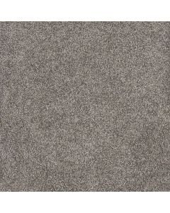 Dreamweaver Rustic Retreat II Dried Sage Carpet - DW-4455-4112