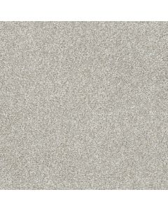 Dreamweaver Silver Lining II Distrail Carpet - DW-4533-2785