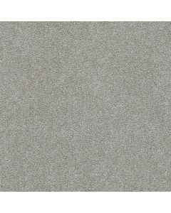 Dreamweaver Silver Lining II Alto Carpet - DW-4533-2820