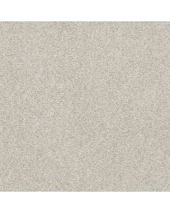 Dreamweaver Silver Lining II Nimbus Carpet - DW-4533-2838