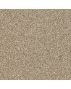 Dreamweaver Silver Lining II Cumulus Carpet - DW-4533-2941