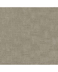 Dreamweaver Monarch 2353 Carpet - DW-4628-Neutral