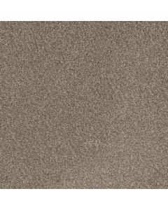 Dreamweaver Mill Creek I Polished Pebble Carpet - DW-4730-2023