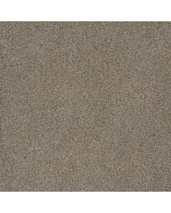 Dreamweaver Mill Creek I Thistle Down Carpet - DW-4730-4021