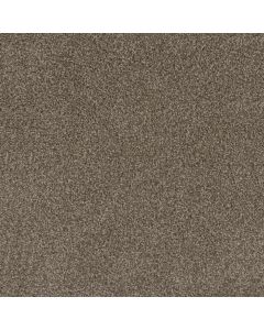 Dreamweaver Mill Creek I Lucky Penny Carpet - DW-4730-4026