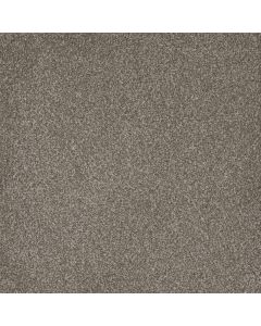 Dreamweaver Titan II Royal Crown Carpet - DW-4755-227
