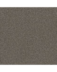 Dreamweaver Titan II Quail Hollow Carpet - DW-4755-362