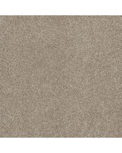 Dreamweaver Stunning Seashells Carpet - DW-4765-758