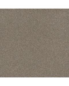 Dreamweaver Stunning Iron Frost Carpet - DW-4765-815