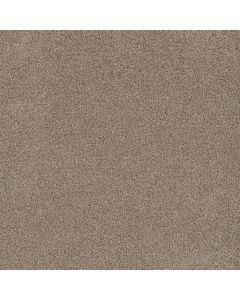 Dreamweaver Stunning Linen Carpet - DW-4765-824