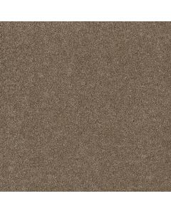 Dreamweaver Stunning Acorn Carpet - DW-4765-858
