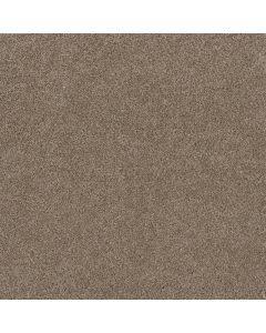Dreamweaver Stunning Tumberweed Carpet - DW-4765-883