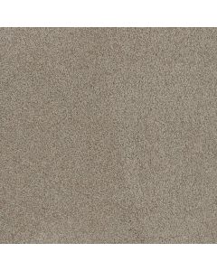 Dreamweaver Stunning Stucco Carpet - DW-4765-905