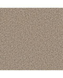 Dreamweaver Dazzling Straw Carpet - DW-4775-551