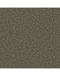 Dreamweaver Dazzling Peppercorn Carpet - DW-4775-753