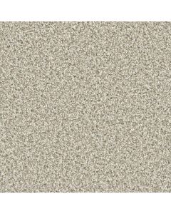 Dreamweaver Dazzling Seashells Carpet - DW-4775-758